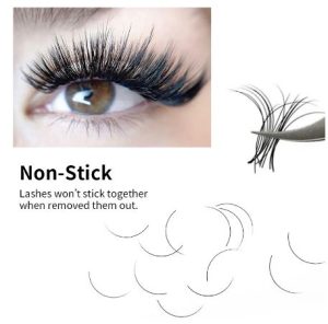 JoyCo Eyelash Extension